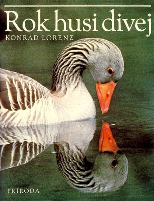Rok husi divej