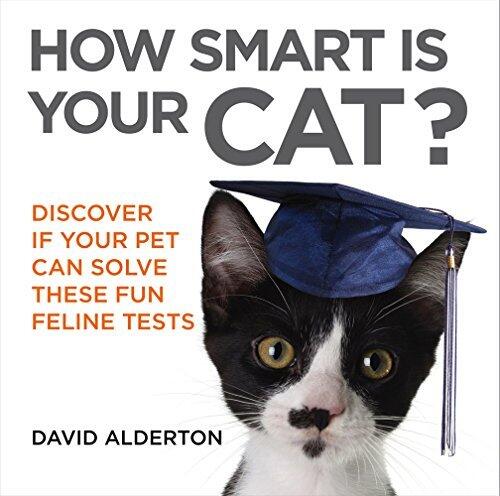 How Smart Is Your Cat?: Discover If Your Pet Can Solve These Fun Feline Tests