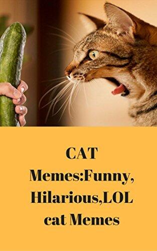 CAT Memes:Funny,Hilarious,LOL cat Memes
