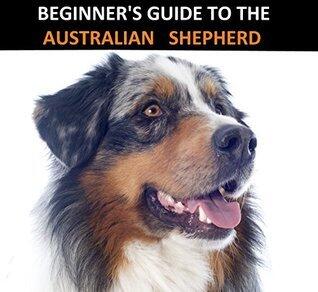 Beginner's Guide To The Australian Shepherd
