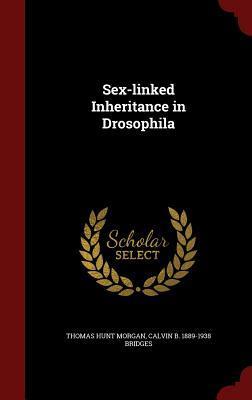Sex-linked Inheritance in Drosophila