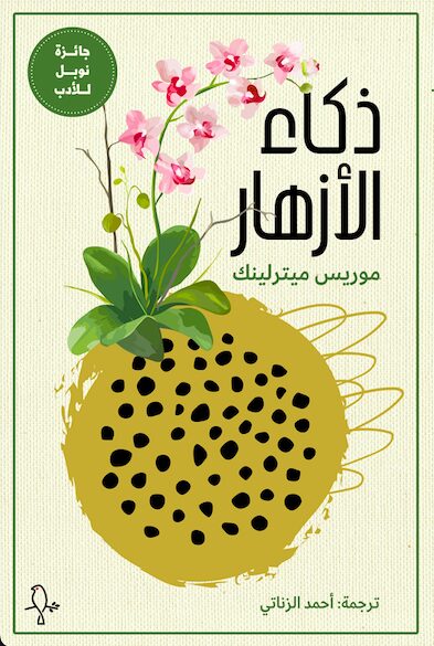 ذكاء الأزهار
