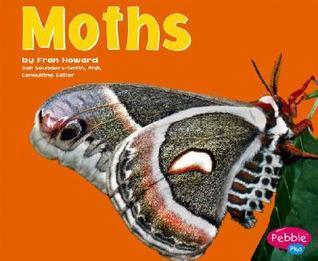 Moths