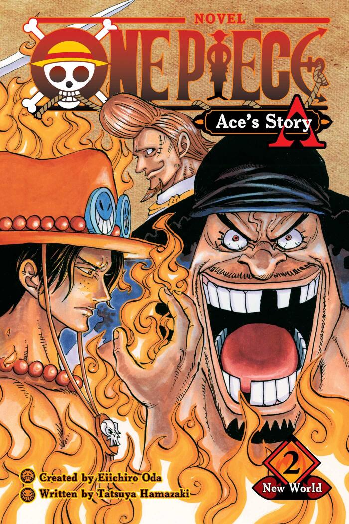 ONE PIECE novel A