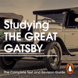 Studying The Great Gatsby:
