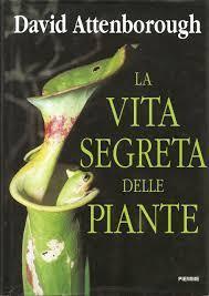 La vita segreta delle piante. Storia naturale del comportamento dei vegetali