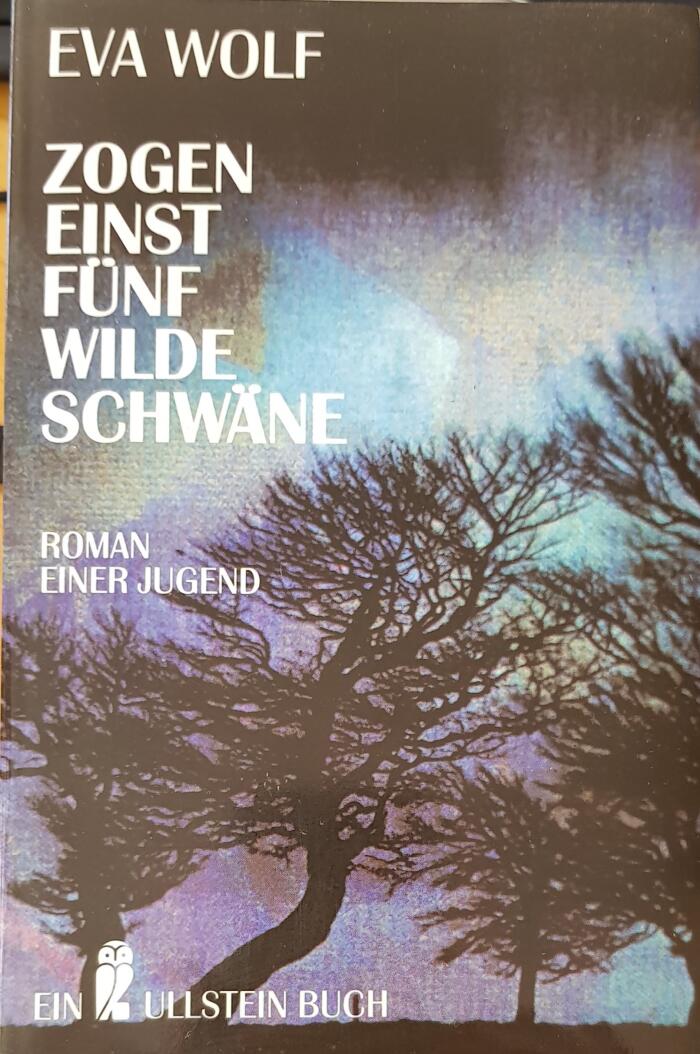 Zogen Einst Fünf Wilde Schwäne: Roman Einer Jugend