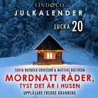 Mordnatt råder: tyst det är i husen. Lucka 20