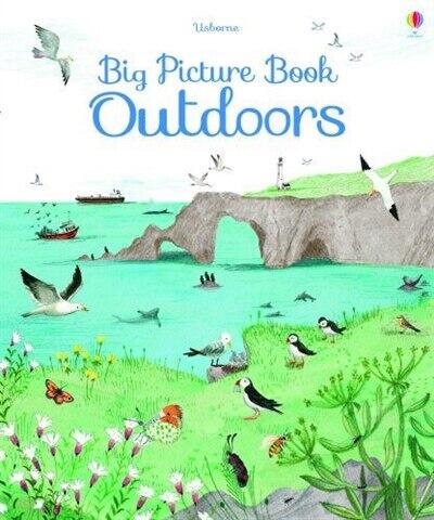 Usborne Big Picture Book Outdoors