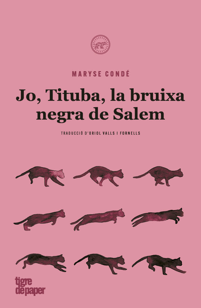 Jo, Tituba, la bruixa negra de Salem
