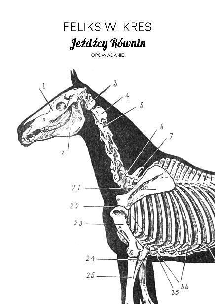 Jeźdźcy równin