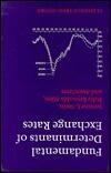 Fundamental Determinants of Exchange Rates