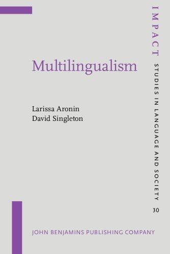 Multilingualism (IMPACT: Studies in Language and Society)