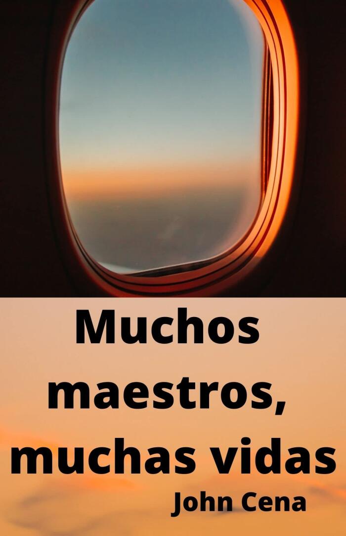 Muchos maestros, muchas vidas