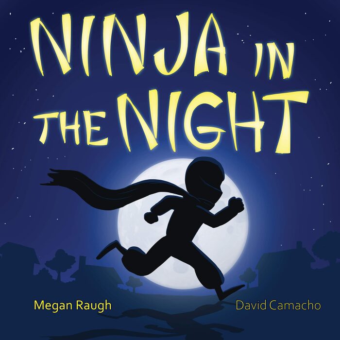 Ninja in the Night: (Comical Series for Children; Working on Developing Critical Thinking Skills)