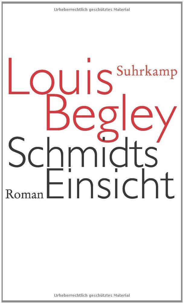 Schmidts Einsicht
