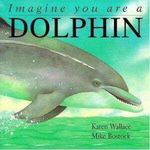 Imagine You Are a Dolphin