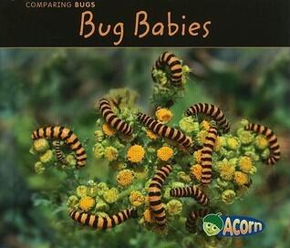Comparing Bugs