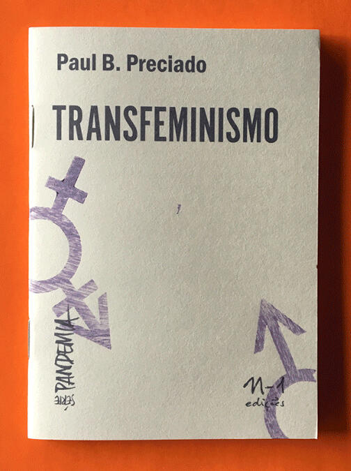 Transfeminismo