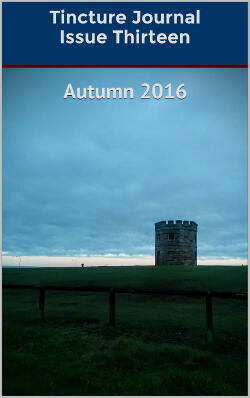 Tincture Journal Autumn 2016