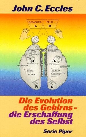 Die Evolution Des Gehirns Die Erschaffung Des Selbst