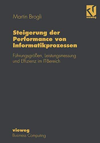 Steigerung der Performance von Informatikprozessen: Führungsgrößen, Leistungsmessung und Effizienz im IT-Bereich (Wirtschaftswissenschaften)