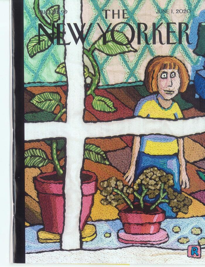 New Yorker Magazine (June 1, 2020): The Way We Live Now