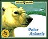 Polar Animals