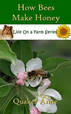 How Bees Make Honey: Life On a Farm Series