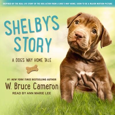 Shelbys Story: A Dogs Way Home Tale