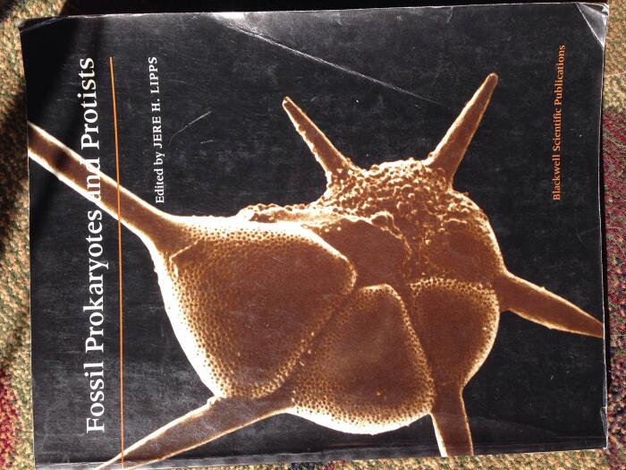 Fossil Prokaryotes and Protists