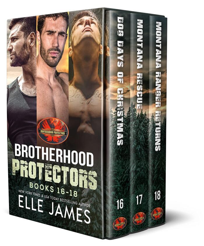 Brotherhood Protectors Boxed Set 6: Books 16-18