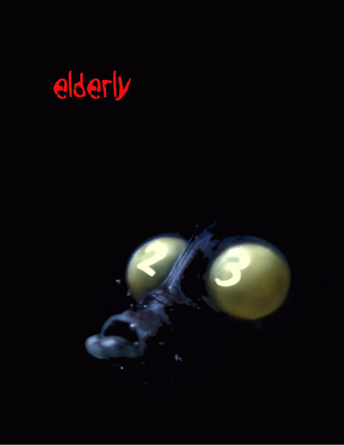 Elderly Issue 23