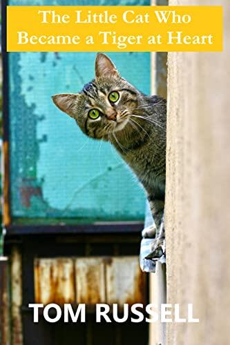 The Little Cat Who Became a Tiger at Heart