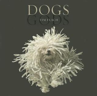 Dogs / Gods: Gods