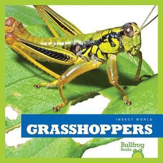 Grasshoppers