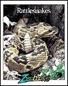Rattlesnakes