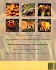 THE MUSHROOM IDENTIFIER.