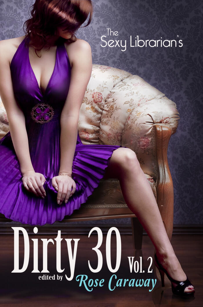 The Sexy Librarian's Dirty 30 (Vol. 2)