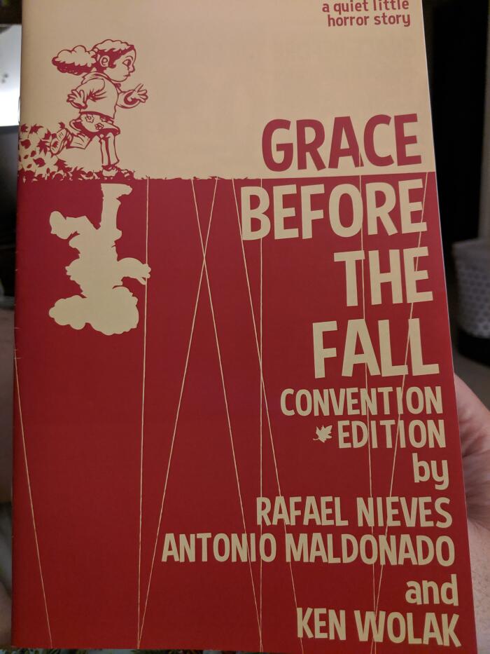 Grace Before the Fall