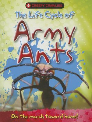 The Life Cycle of Army Ants