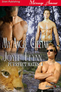 My Angel Cheetah