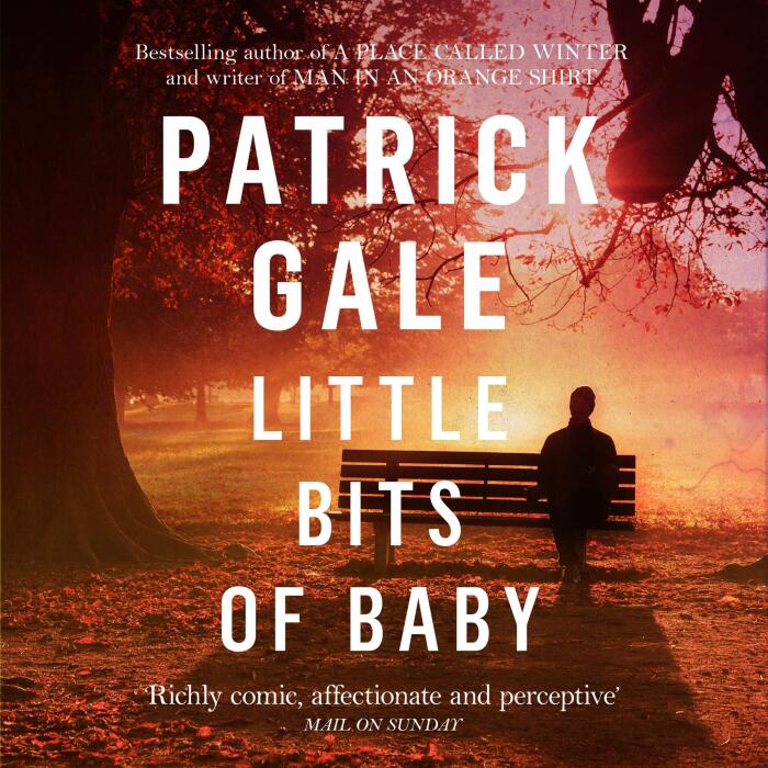 Little Bits of Baby: A quirky, comedic novel of breakdown, escape and the possibilities of finding love