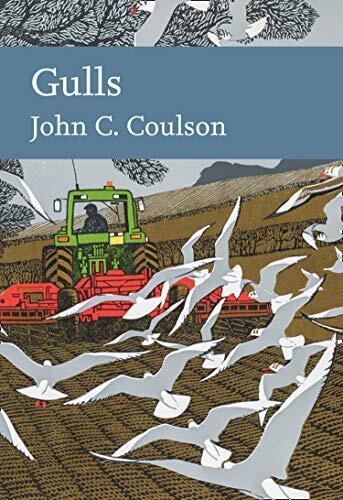 Gulls: Book 139