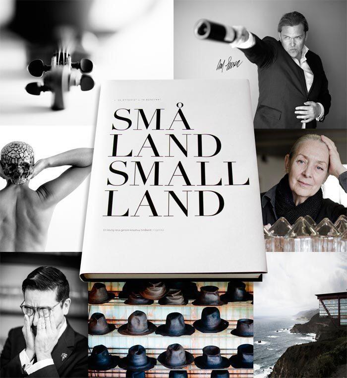 Små Land : [en klurig resa genom kreativa Småland]