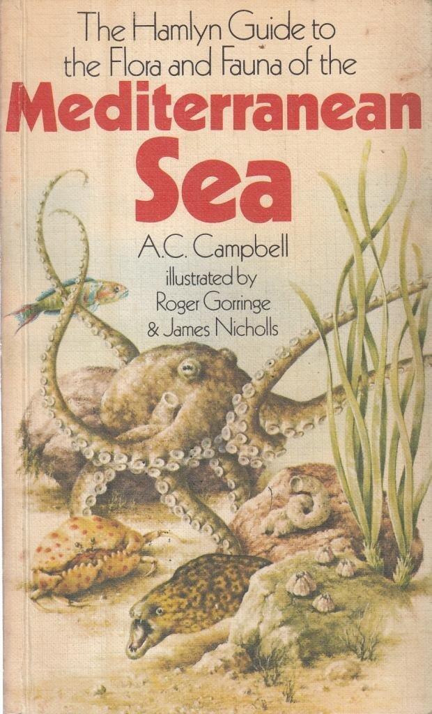 Flora and Fauna of the Mediterranean Sea