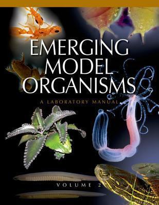 Emerging Model Organisms
