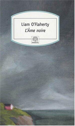 L'âme Noire: Roman