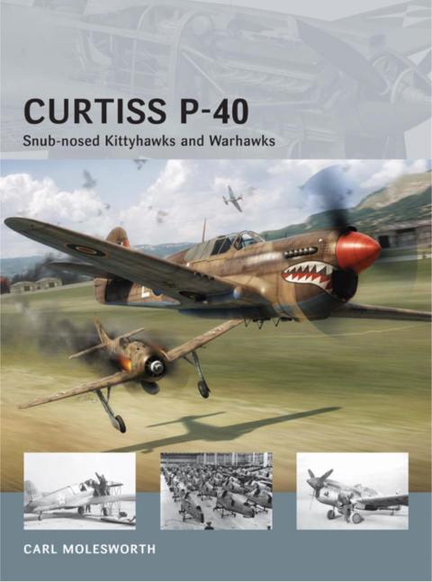 Curtiss P-40: Snub-nosed Kittyhawks And Warhawks
