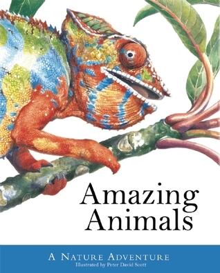 Amazing Animals: A Nature Adventure